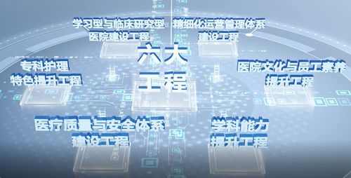 雙城聯(lián)動(dòng) 青島海慈醫(yī)療集團(tuán)學(xué)科建設(shè)年與杭州軟件開發(fā)的協(xié)同發(fā)展之路